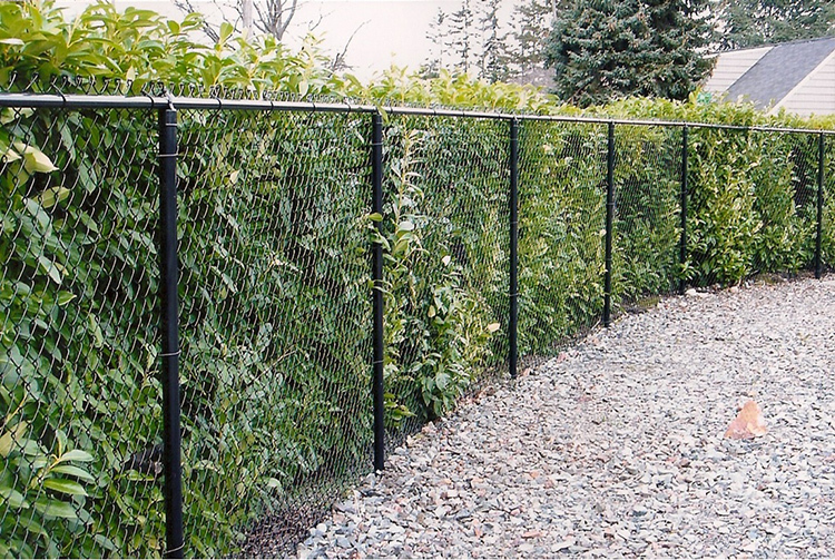 Netting mesh - a universal solution for a summer residence and a private house
