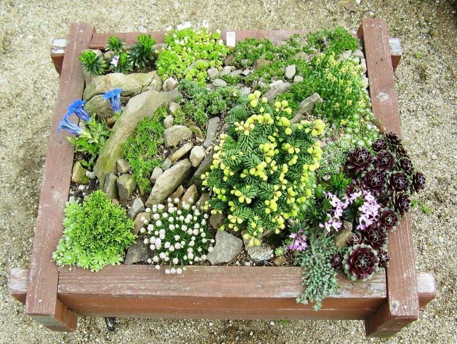 DIY Mini-Steingarten aus Holzbrettern