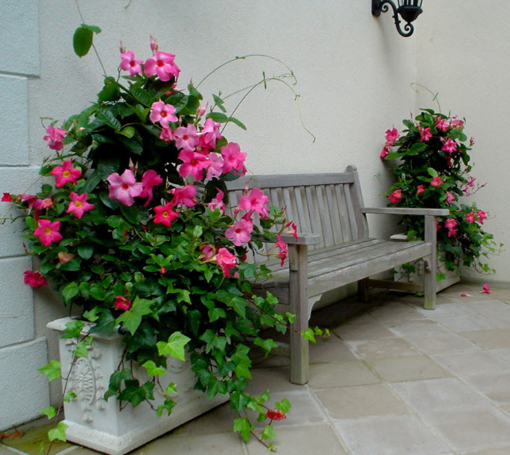 Dřevěná lavice mezi květináči