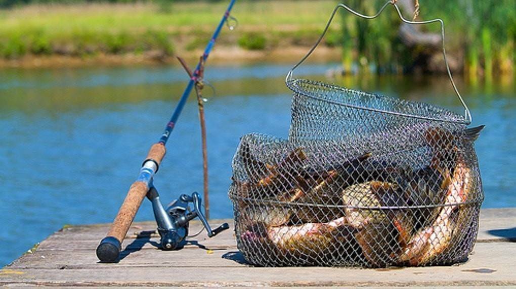 Why is fishing called the best hobby for men?